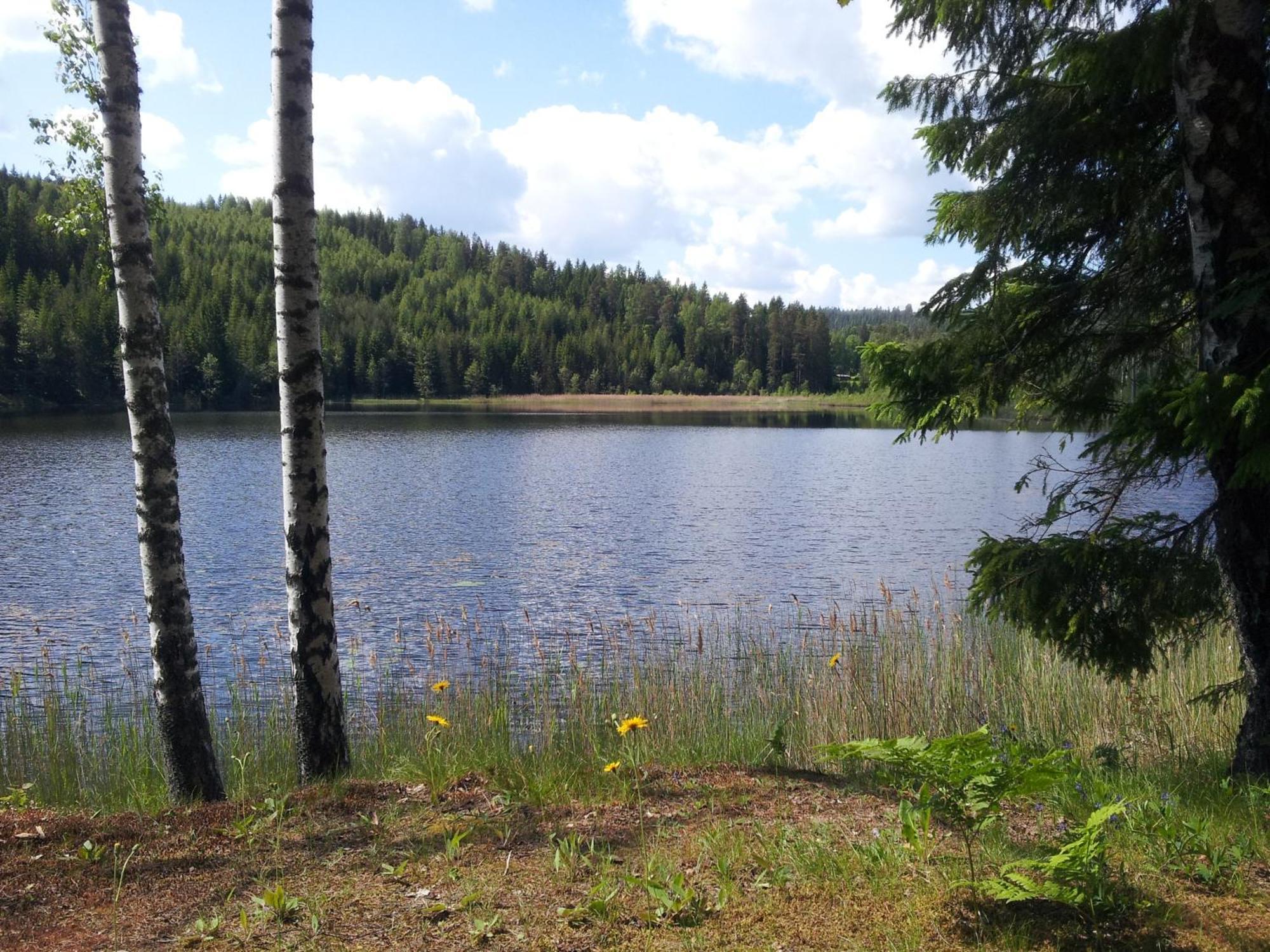Kilsborgs Gard - Lakehouse Svanskog Exteriör bild