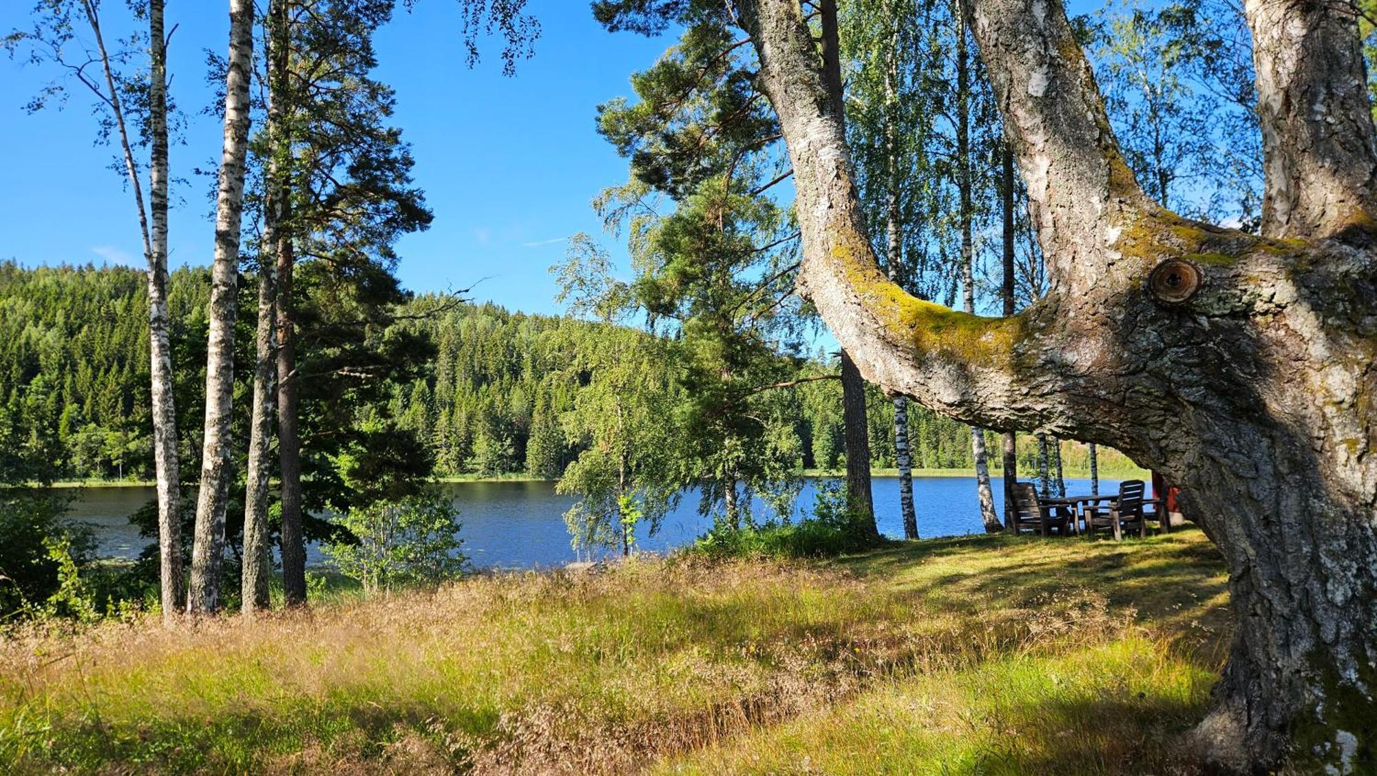 Kilsborgs Gard - Lakehouse Svanskog Exteriör bild